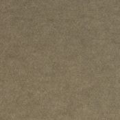 Smoky Beige