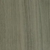 09 Sagebrush