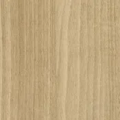 42 Ash
