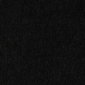 True Black